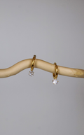 Ivy Hoops Earrings